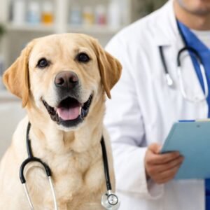 ChatGPT Image Jan 17 2026 10 18 55 PM 300x300