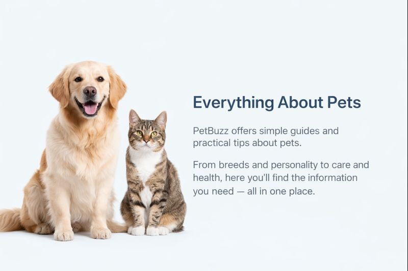 everything about pets