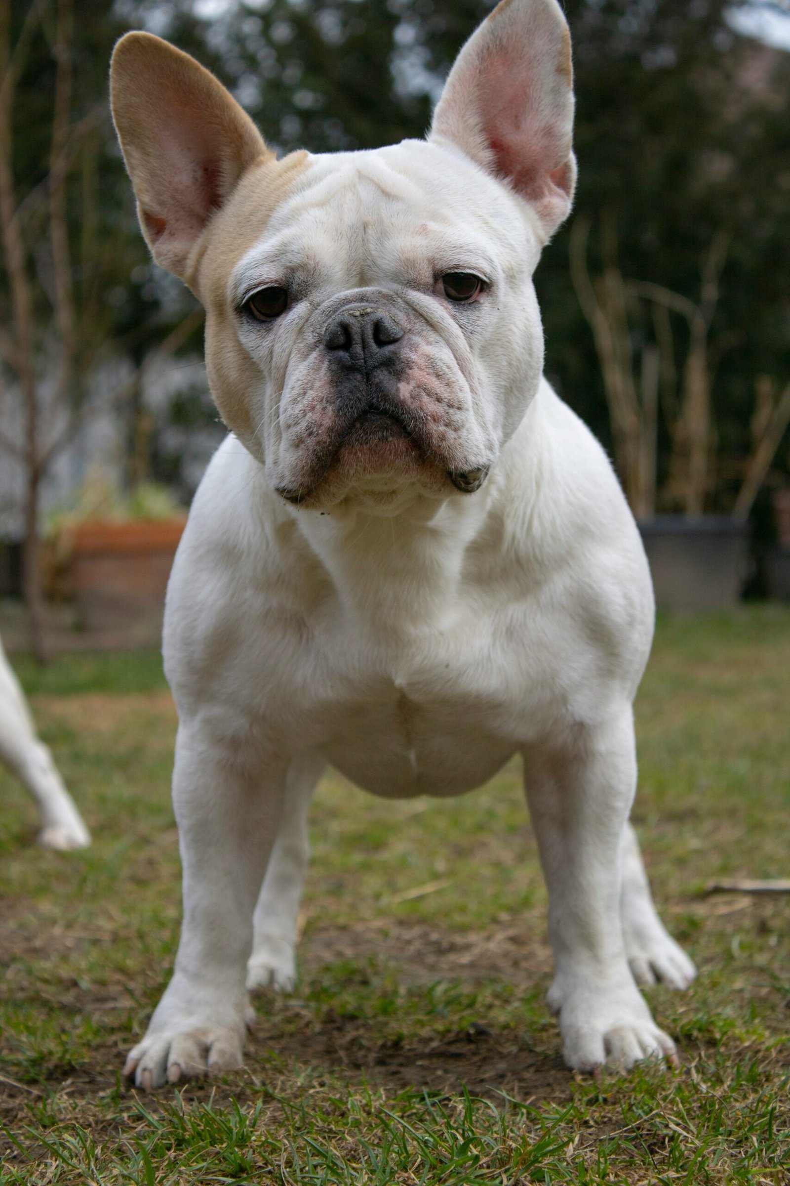 Albert David 44A4d7rtFKQ Unsplash Scaled